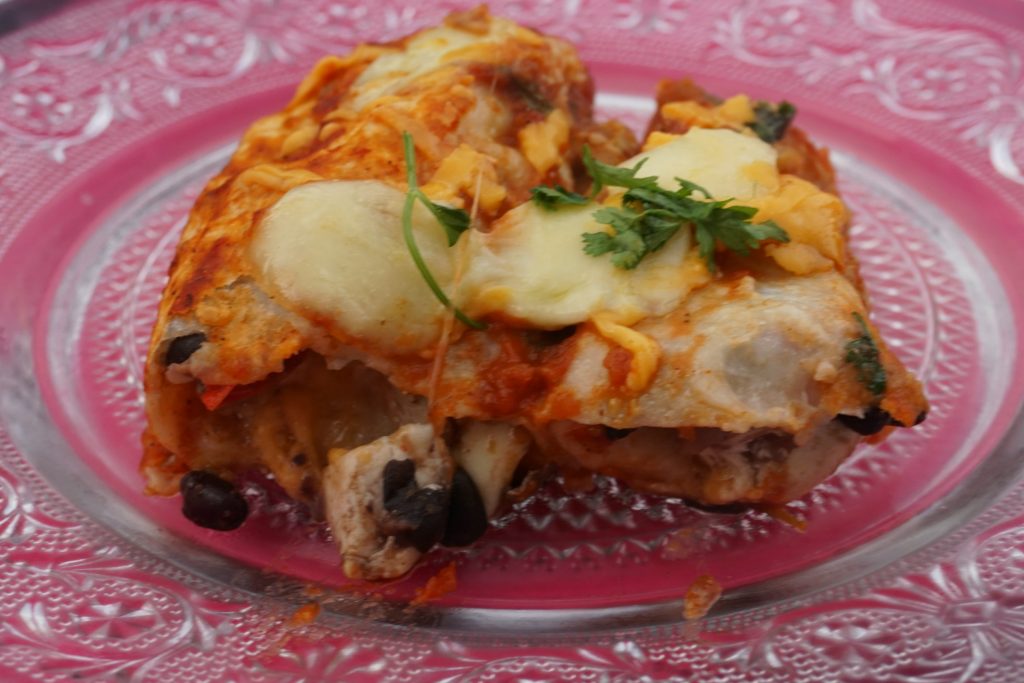 Chicken Enchilada portion