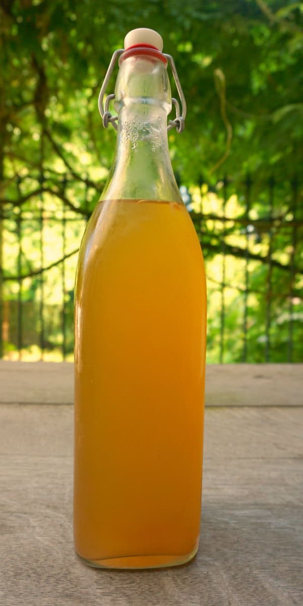 Ginger Syrup Made at Home - BELGIAN FOODIE