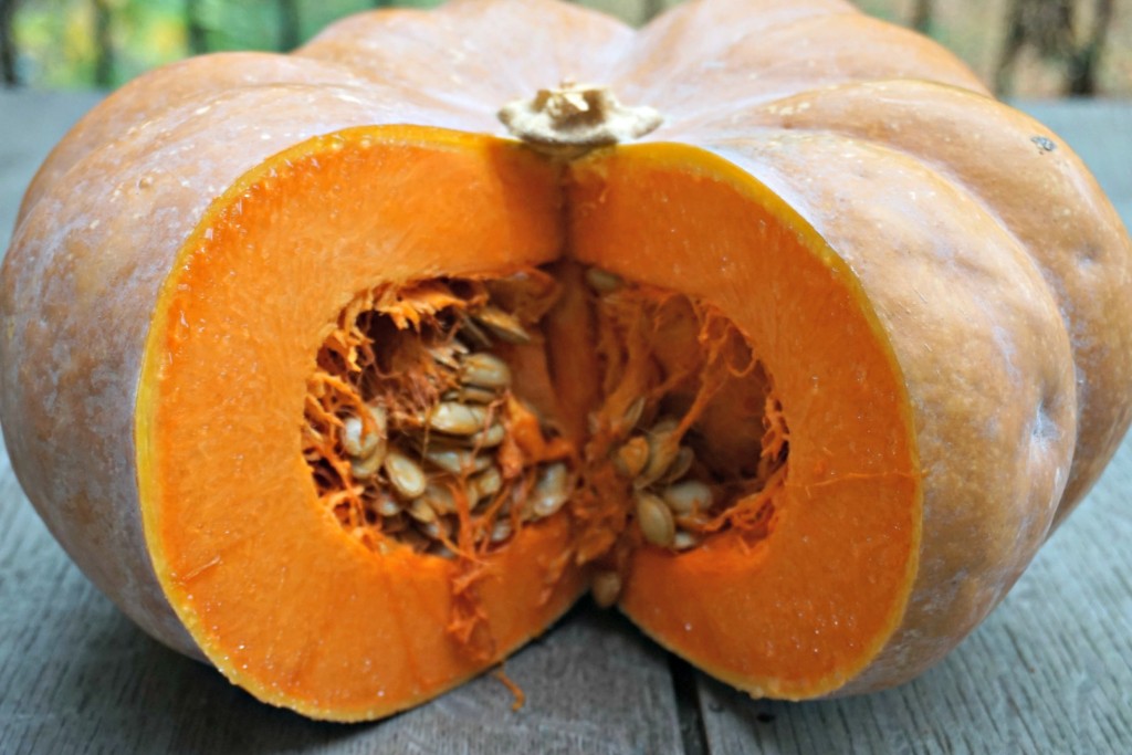 Cut Muscat Pumpkin