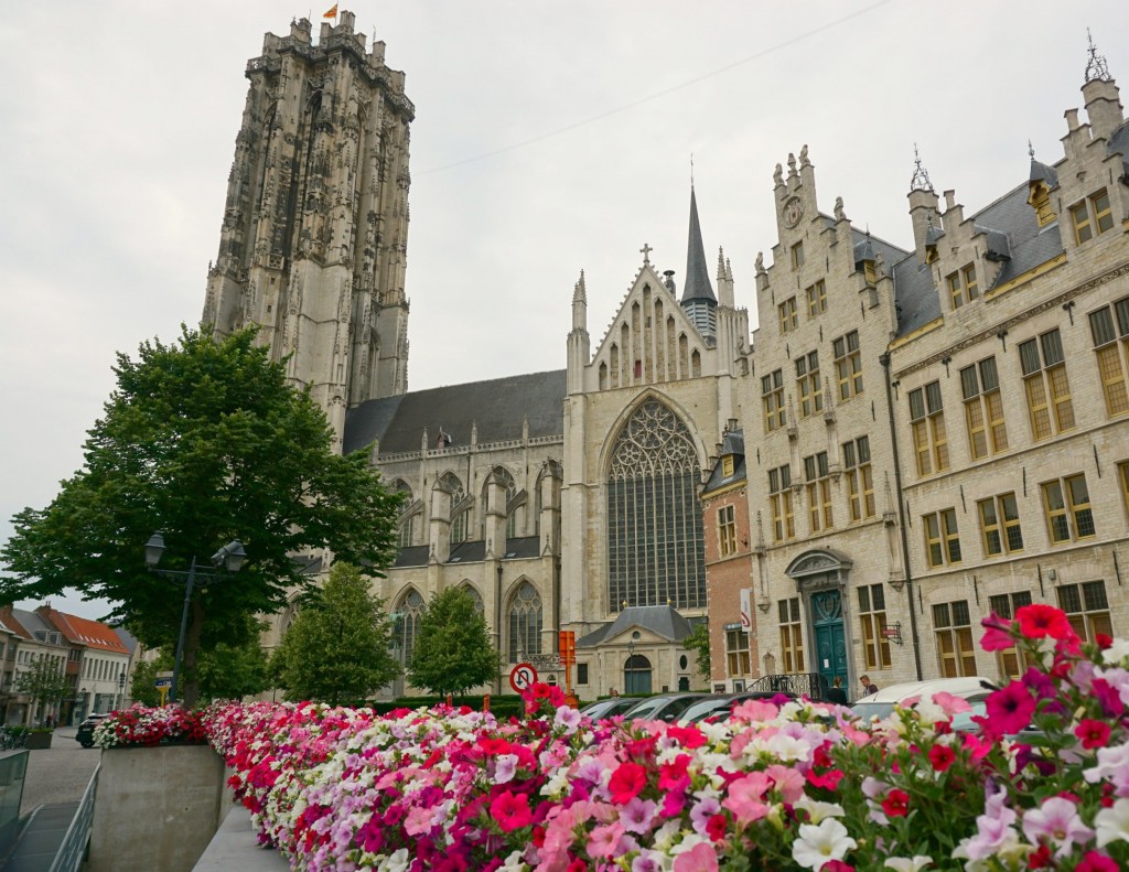 Mechelen St Rumbold Cathedral