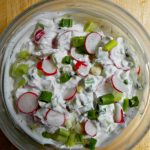 Yogurt apread with radishes and green onions