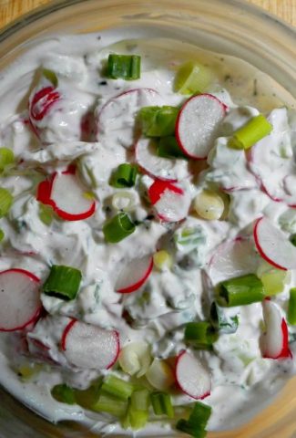 Yogurt apread with radishes and green onions