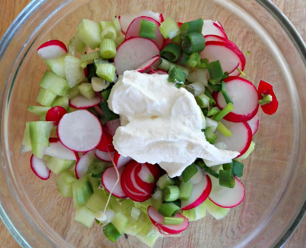 Yogurt Spread with Radishes and Green Onions BELGIAN FOODIE