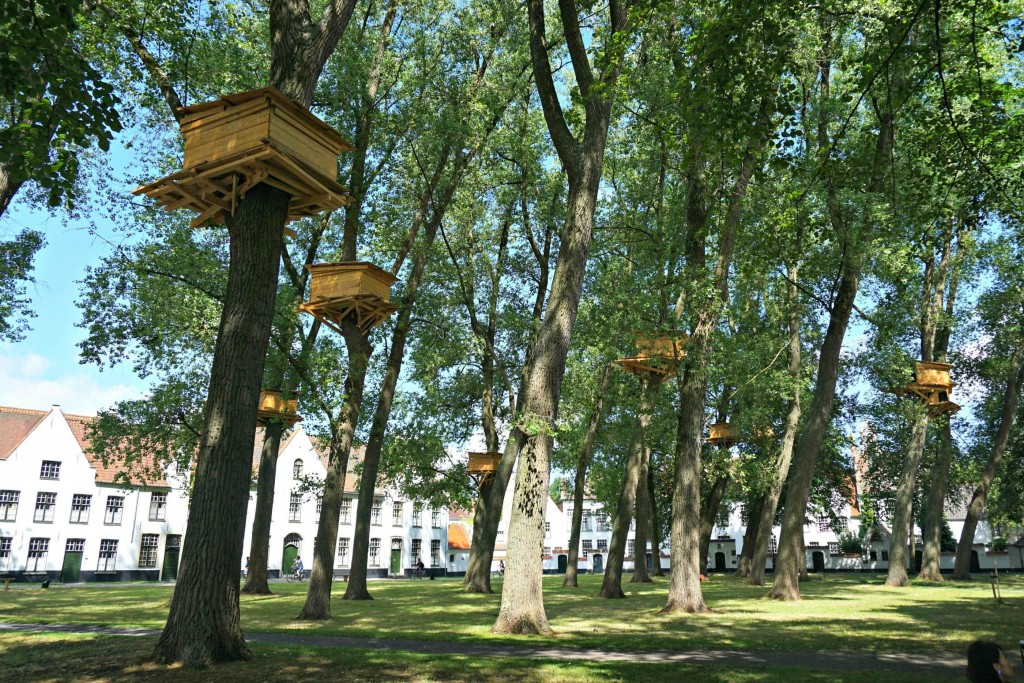 Tree Huts in Bruges