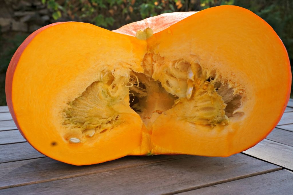 Cut Fresh Pumpkin