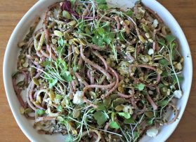 Beet Dandelion Pesto – Nutritious and Tasty Greens