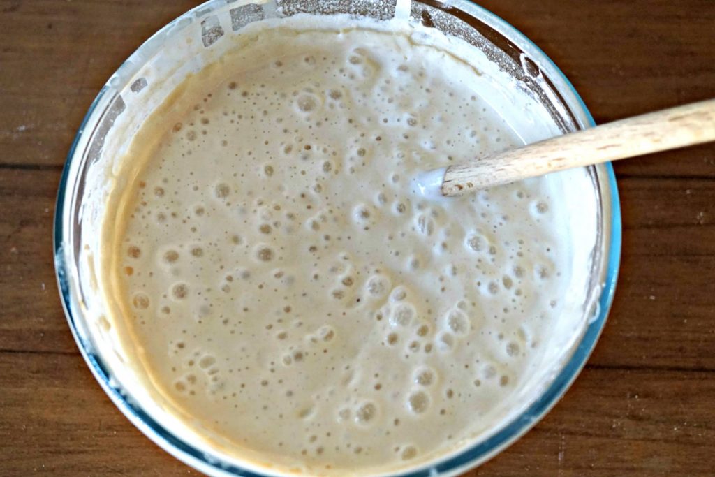 sourdough starter above view