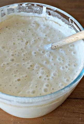 sourdough starter